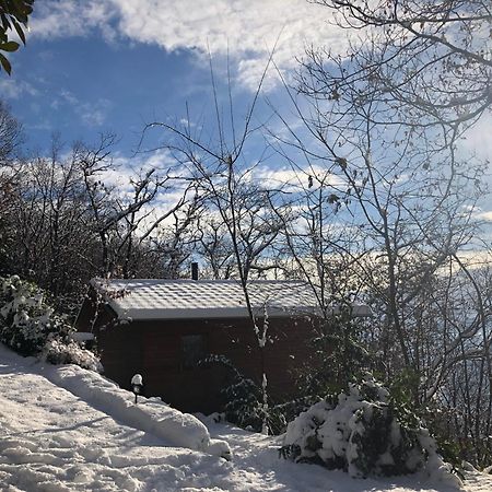 "La Romantica" Rifugio Nel Bosco Astano 외부 사진