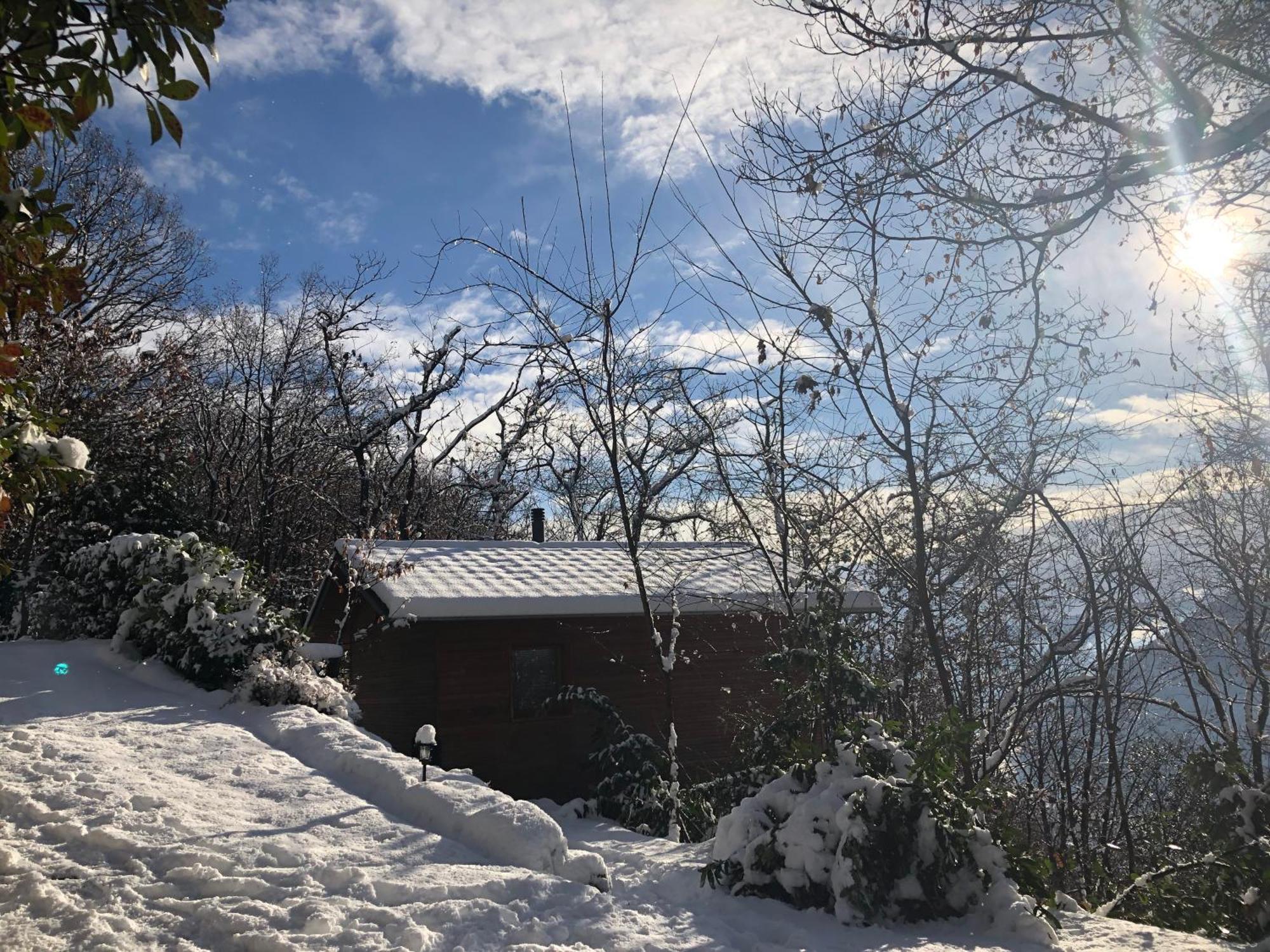 "La Romantica" Rifugio Nel Bosco Astano 외부 사진