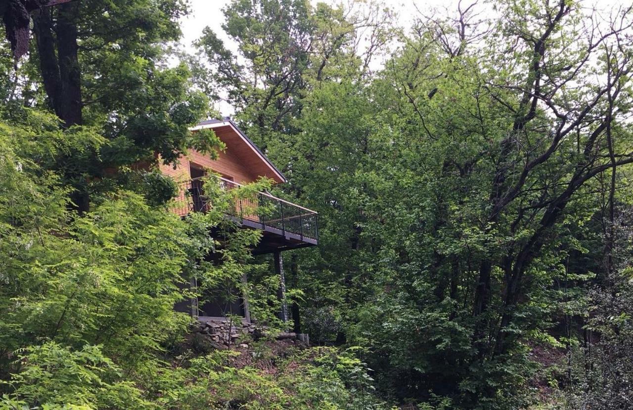 "La Romantica" Rifugio Nel Bosco Astano 외부 사진